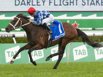 Funstar Knocked Down For World-Record Price During Inglis’ D ... Image 3